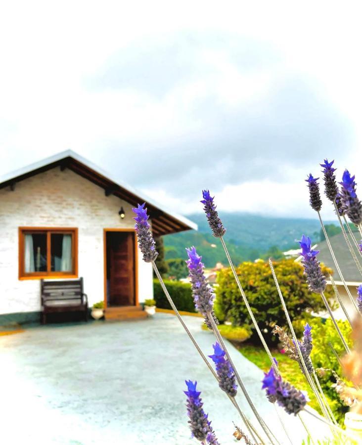 Villa Monte Verde Monte Verde  Esterno foto