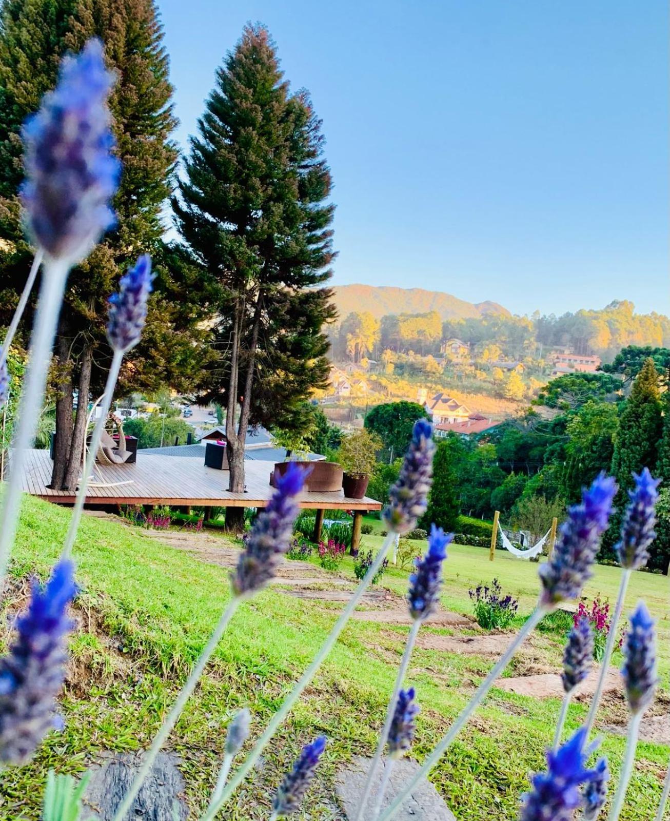 Villa Monte Verde Monte Verde  Esterno foto